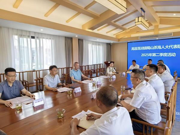 宜賓市人大信息技術咨詢服務的創新與實踐